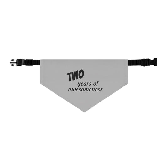 2 Years of Awesomeness Pet Bandana Collar — Gray Celebration Bandana for Dogs