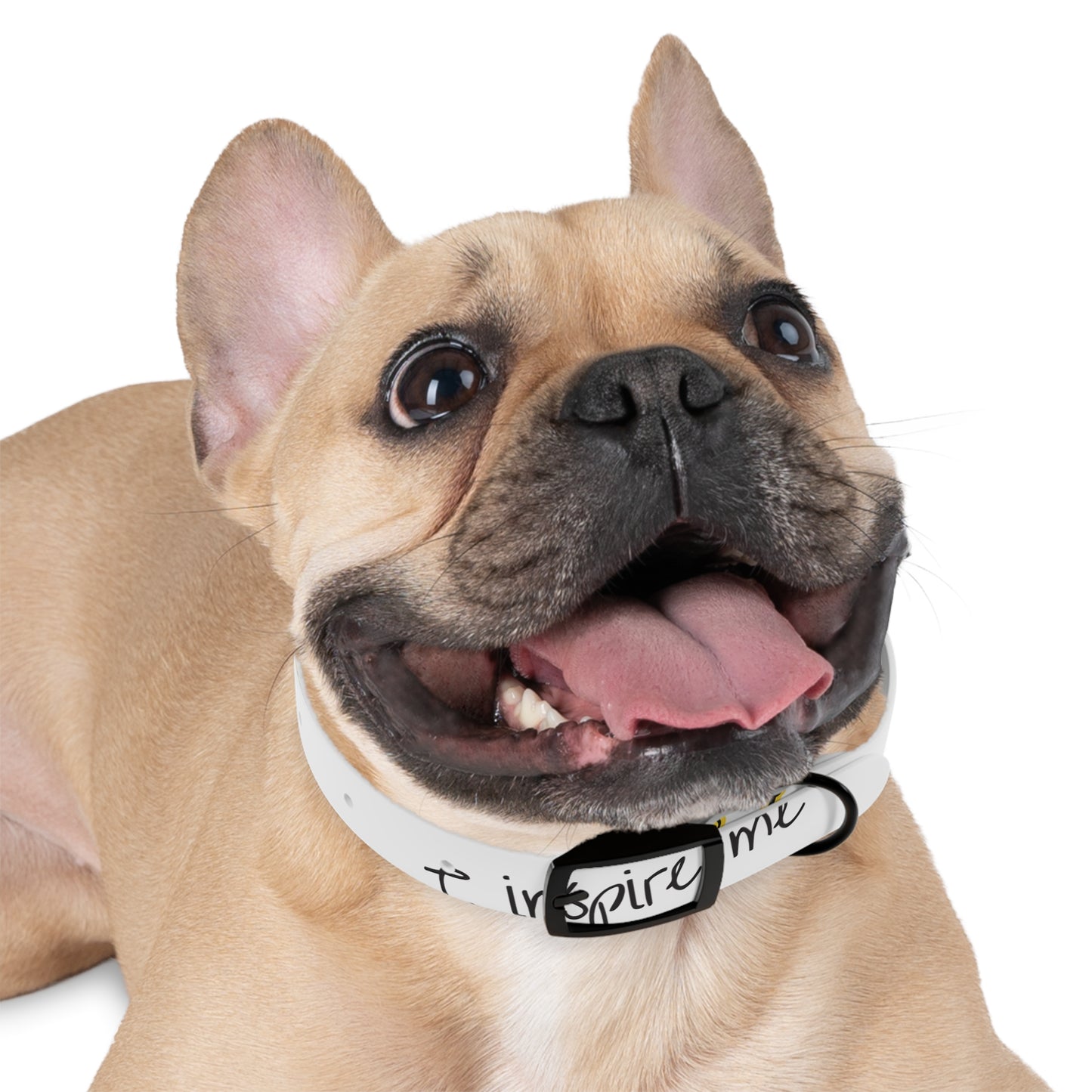 'Inspire Me' Crown White Dog Collar — Inspirational Pet Accessory for Small & Medium Dogs