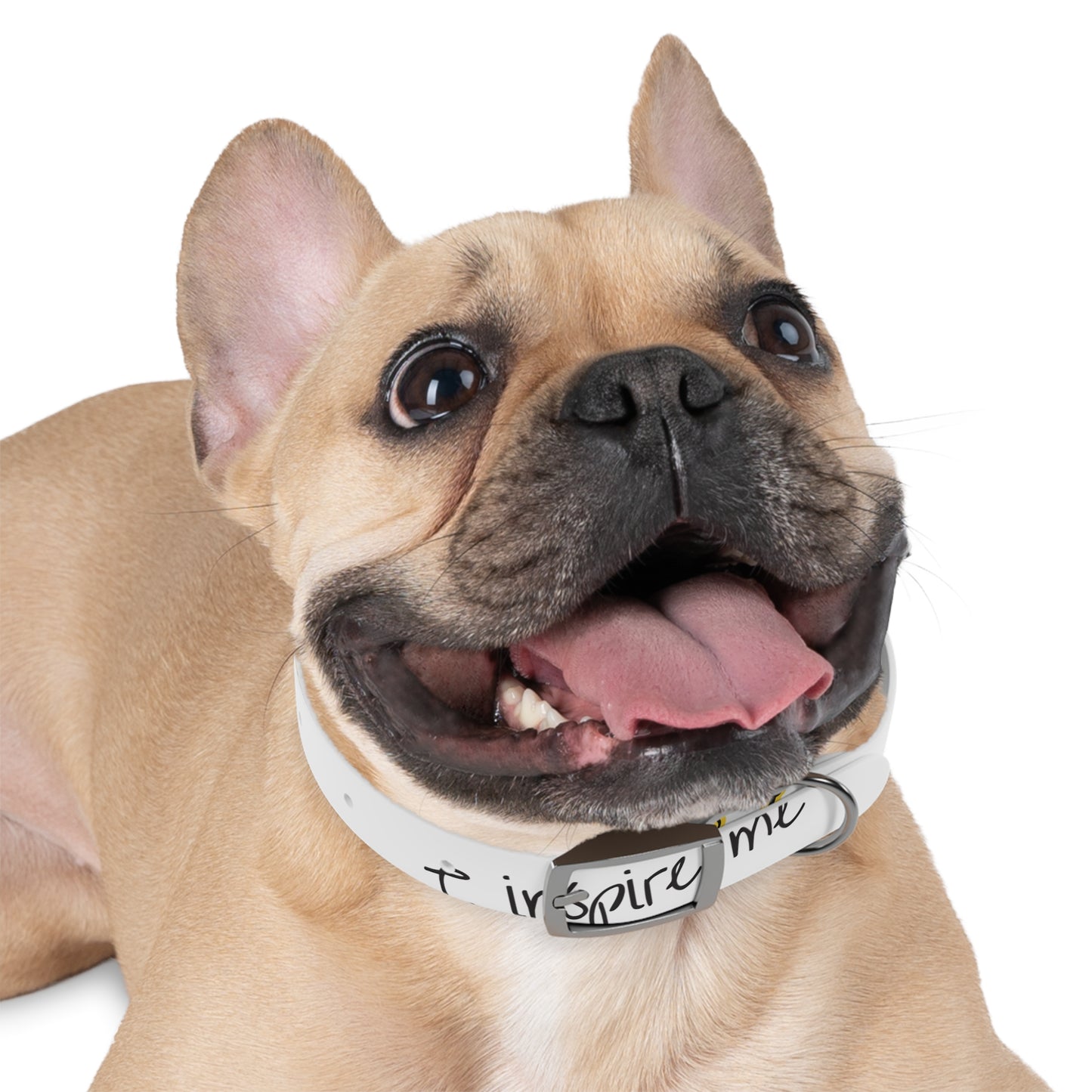'Inspire Me' Crown White Dog Collar — Inspirational Pet Accessory for Small & Medium Dogs
